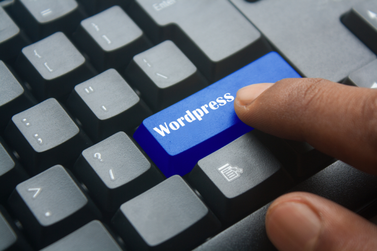 Professional WordPress Developer: Build a Performance Website
