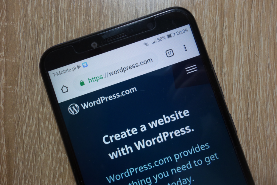 What Is WordPress