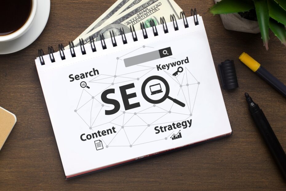 seo services company in delhi