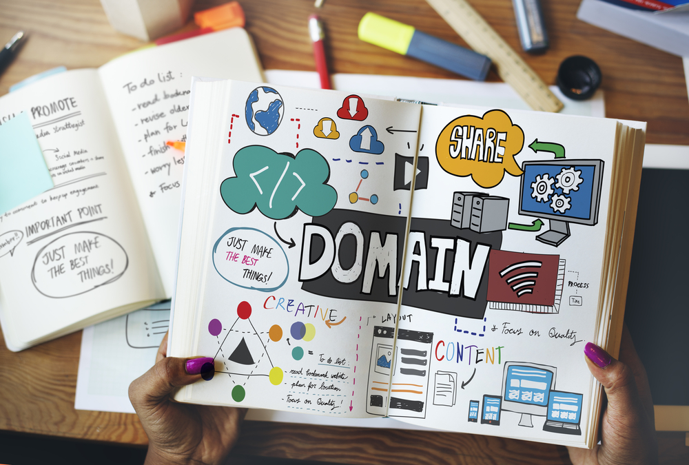 Domain Name Provider