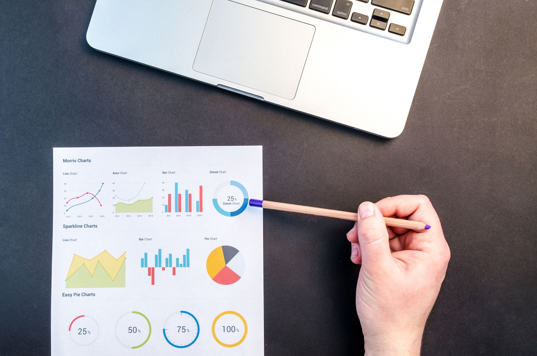 Small business owner reviewing local SEO reporting KPIs for Google Ads campaigns on a WordPress website