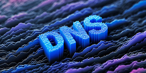 Domain Hosting for Business Websites
