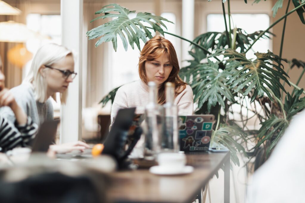 Shopify Vs WordPress Pricing Guide