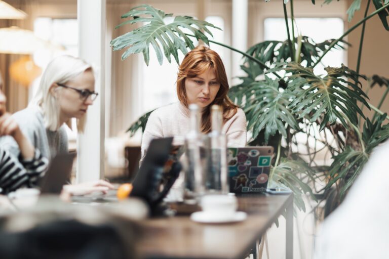 Shopify Vs WordPress Pricing Guide
