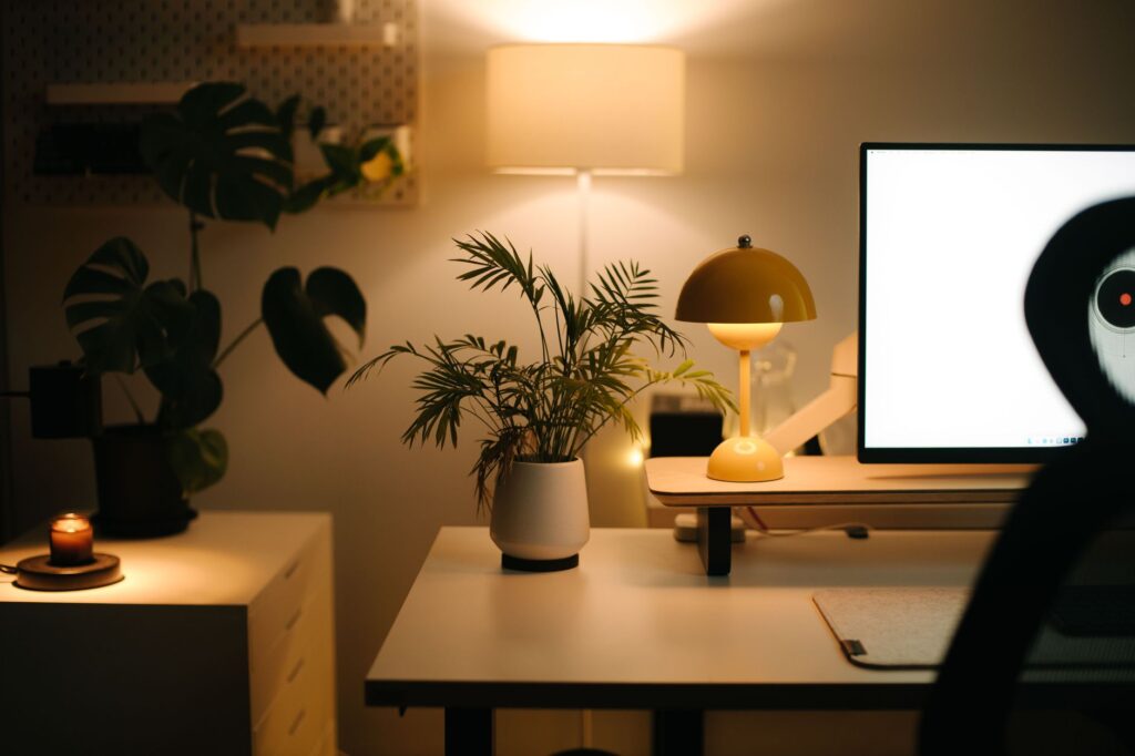 Shopify Vs WordPress Setup Cost Guide