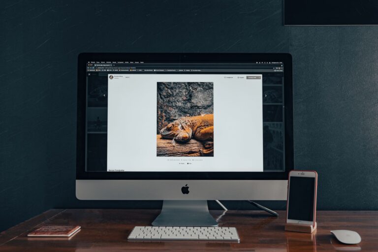 Shopify Vs WordPress Setup Cost Pricing Comparison